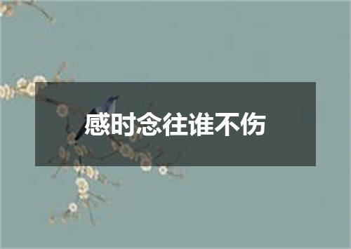 感时念往谁不伤