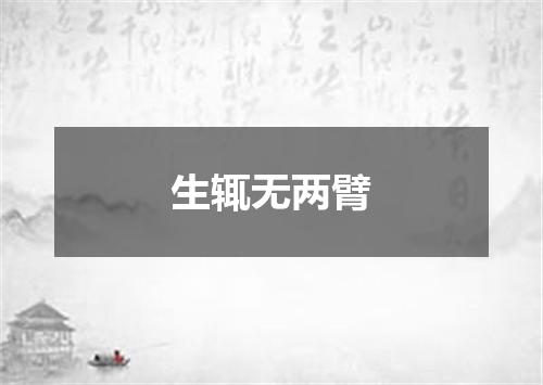 生辄无两臂