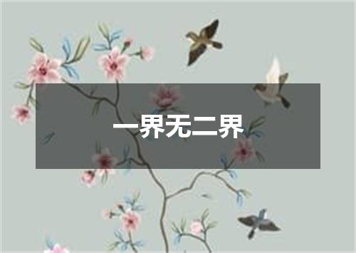 一界无二界