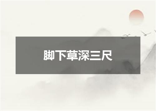 脚下草深三尺