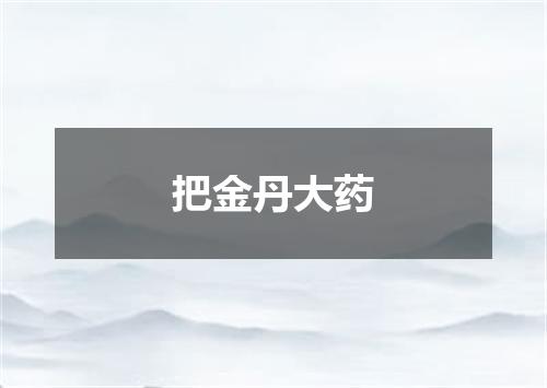 把金丹大药