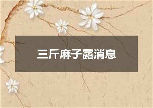 三斤麻子露消息