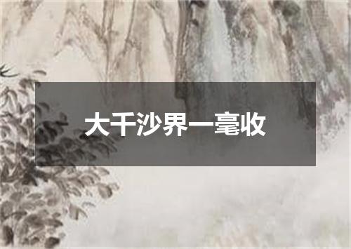 大千沙界一毫收