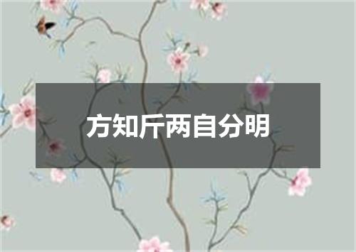 方知斤两自分明