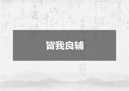 皆我良辅