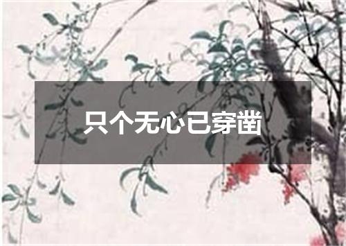 只个无心已穿凿