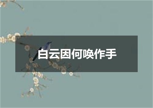 白云因何唤作手