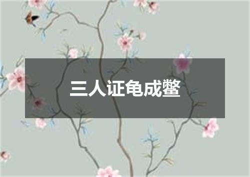 三人证龟成鳖