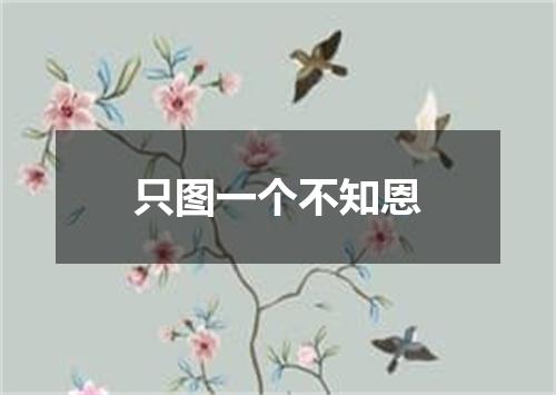 只图一个不知恩