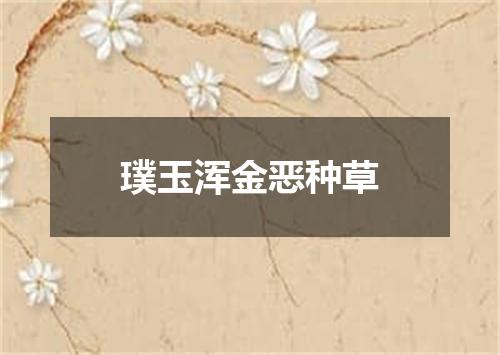 璞玉浑金恶种草