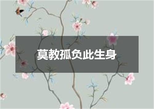 莫教孤负此生身