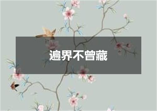 遍界不曾藏