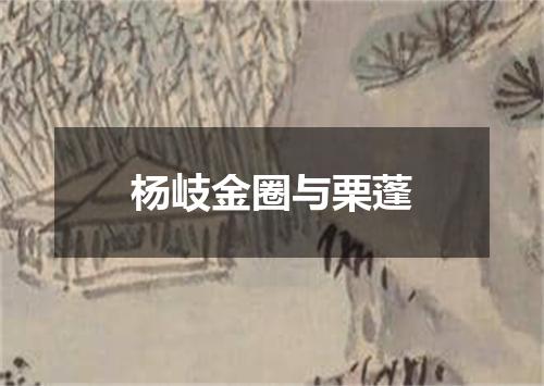杨岐金圈与栗蓬