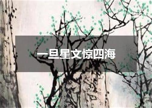 一旦星文惊四海