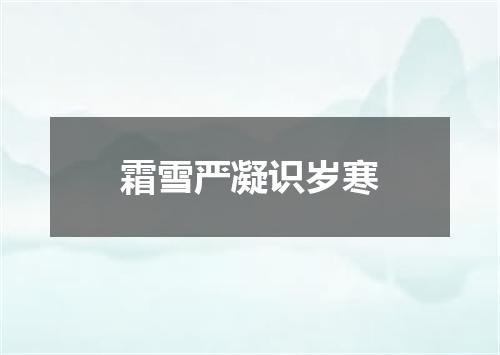 霜雪严凝识岁寒