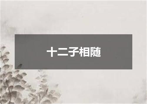 十二子相随