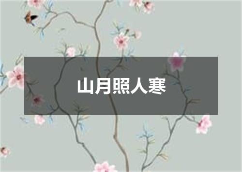 山月照人寒