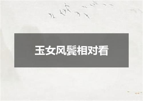 玉女风鬓相对看