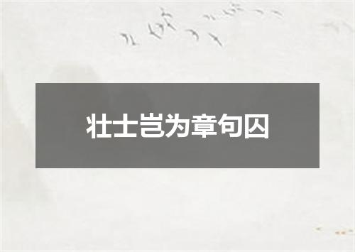 壮士岂为章句囚