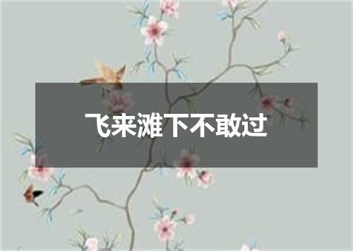 飞来滩下不敢过
