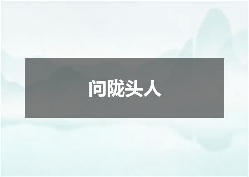 问陇头人