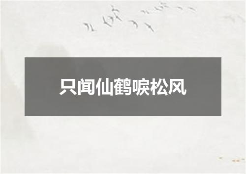 只闻仙鹤唳松风
