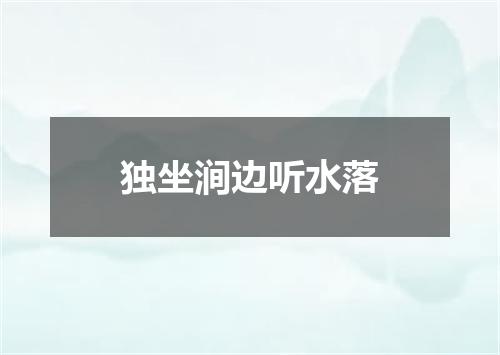 独坐涧边听水落