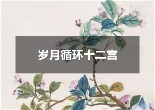 岁月循环十二宫