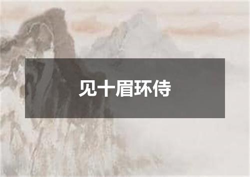见十眉环侍