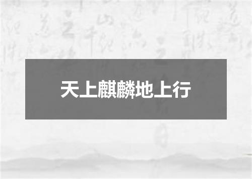 天上麒麟地上行