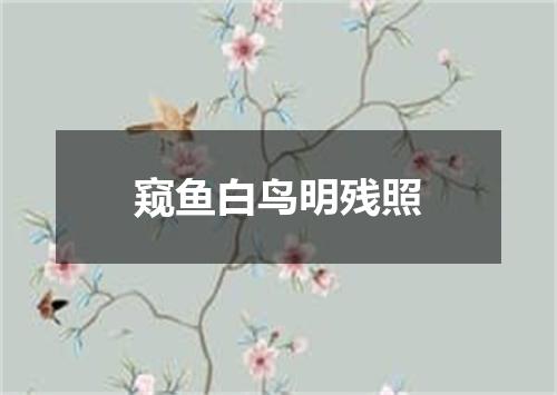 窥鱼白鸟明残照