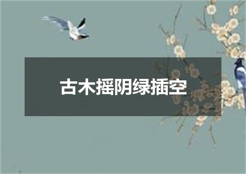 古木摇阴绿插空