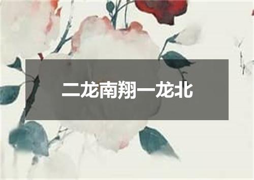 二龙南翔一龙北
