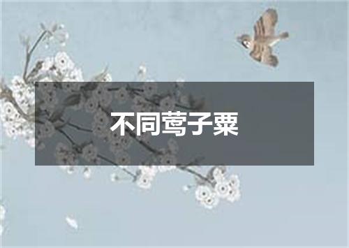 不同莺子粟