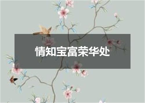 情知宝富荣华处