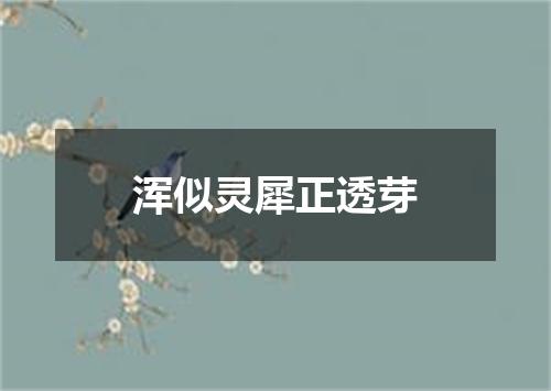 浑似灵犀正透芽