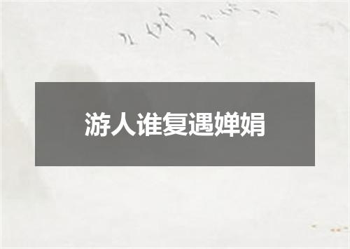 游人谁复遇婵娟