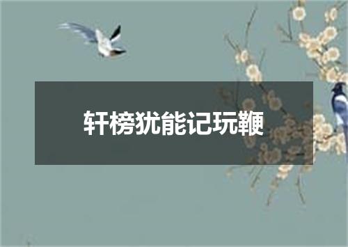 轩榜犹能记玩鞭