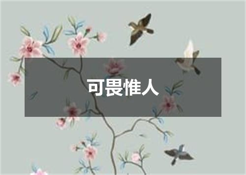 可畏惟人