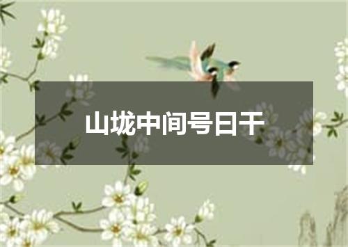 山垅中间号曰干