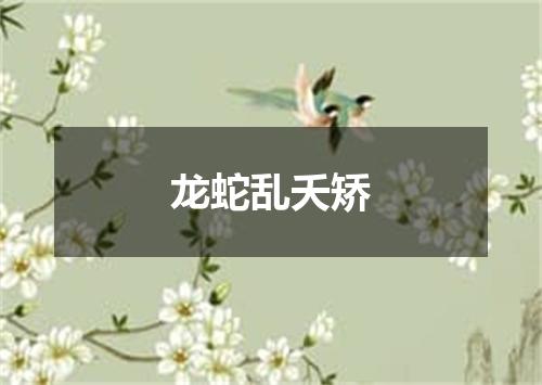 龙蛇乱夭矫
