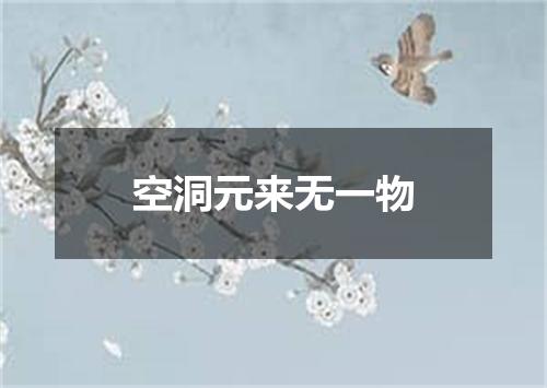 空洞元来无一物
