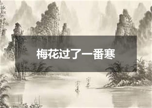 梅花过了一番寒