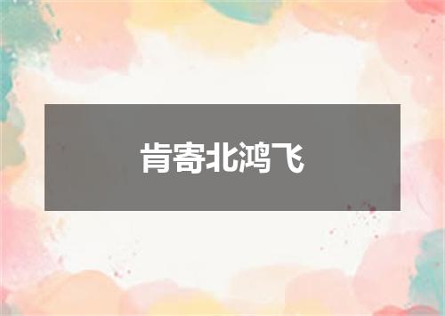 肯寄北鸿飞