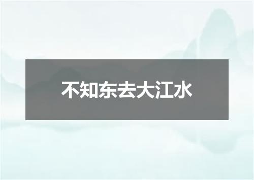 不知东去大江水