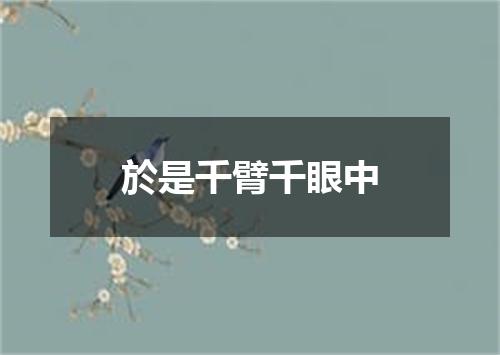 於是千臂千眼中