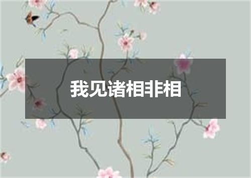 我见诸相非相