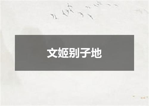 文姬别子地