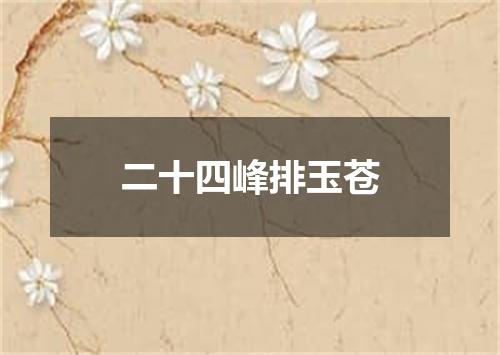 二十四峰排玉苍