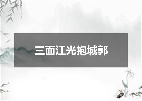 三面江光抱城郭